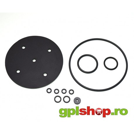 Set membrane vaporizator Bigas RI21