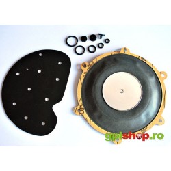 Reparation kit for Bigas M20 reducer